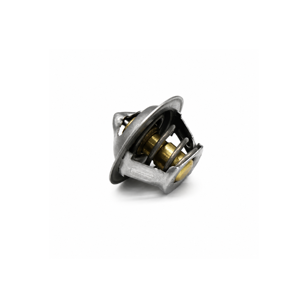 905250100042 - VALVULA TERMOSTATO S/SUPORTE